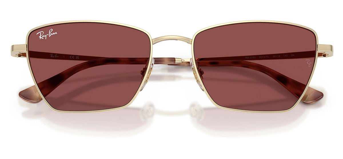 Ray-Ban RB3783 Drea Sunglasses - Pale Gold / Dark Violet