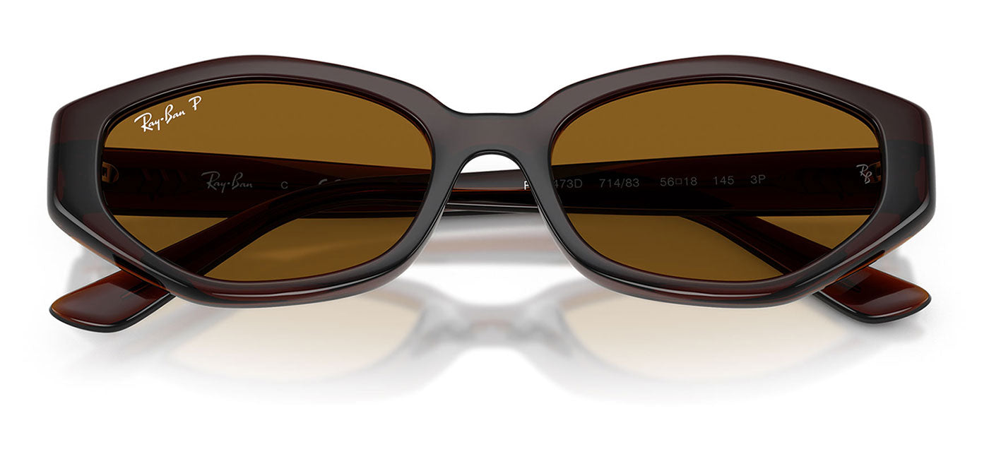 Ray-Ban RB4473D Sunglasses - Dark Brown / Dark Brown Polarised