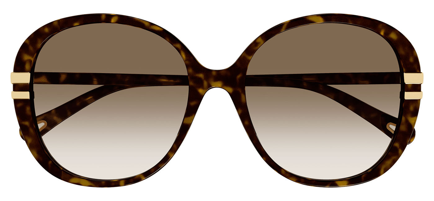 Chloe CH0207SK Sunglasses - Havana / Brown Gradient