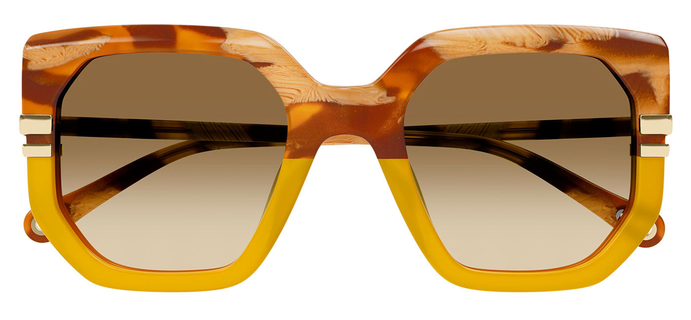 Chloe CH0240S Sunglasses - Brown / Brown Gradient
