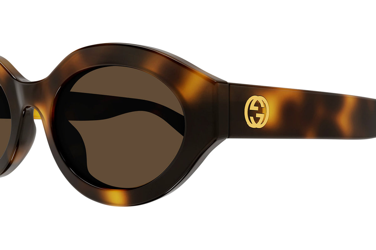 Gucci GG1579S Sunglasses - Havana / Brown