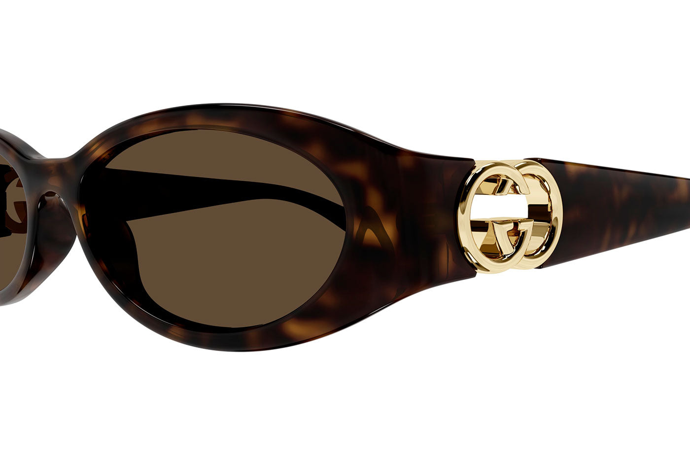 Gucci GG1660S Sunglasses - Havana / Brown