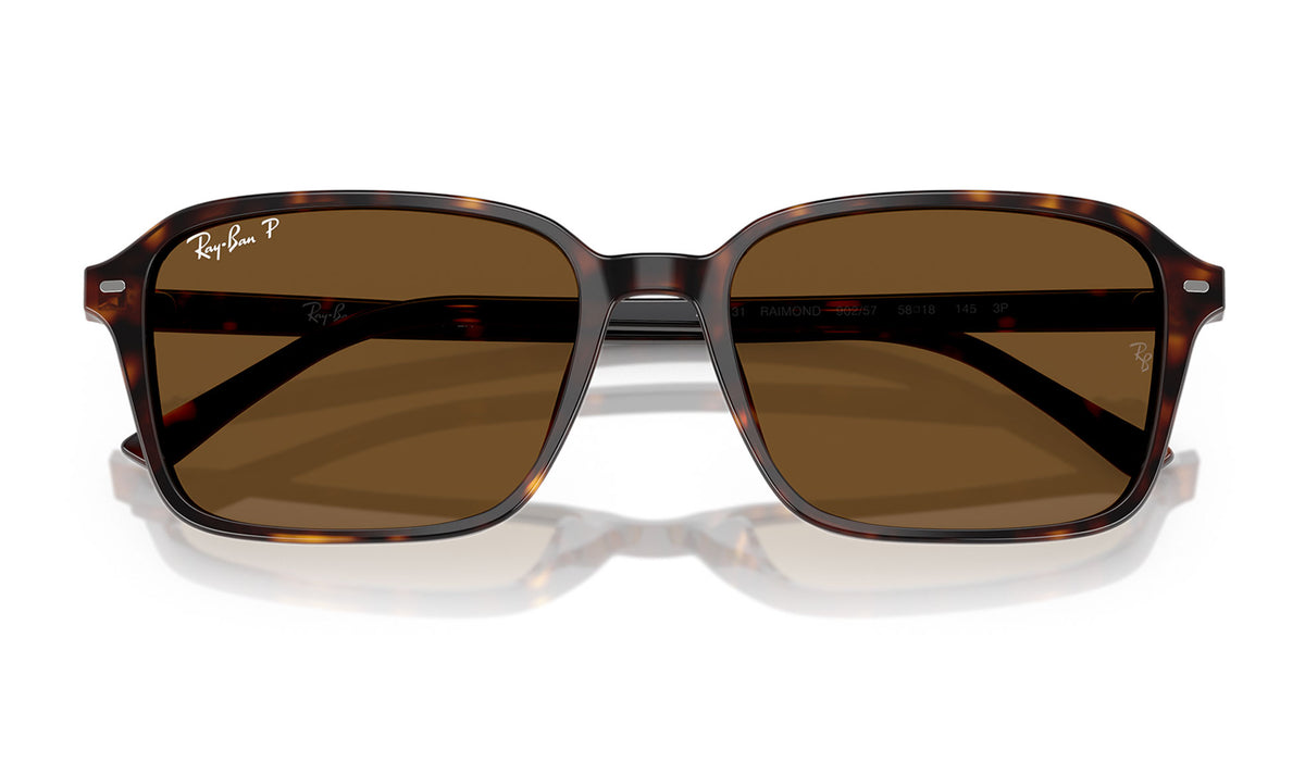Ray-Ban RB2231 Raimond Sunglasses - Havana / Brown Polarised