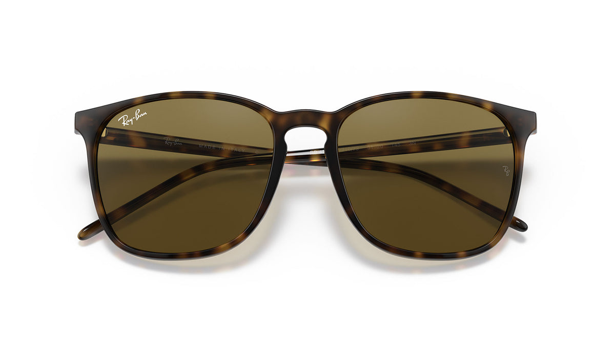 Ray-Ban RB4387 Sunglasses - Havana / Brown