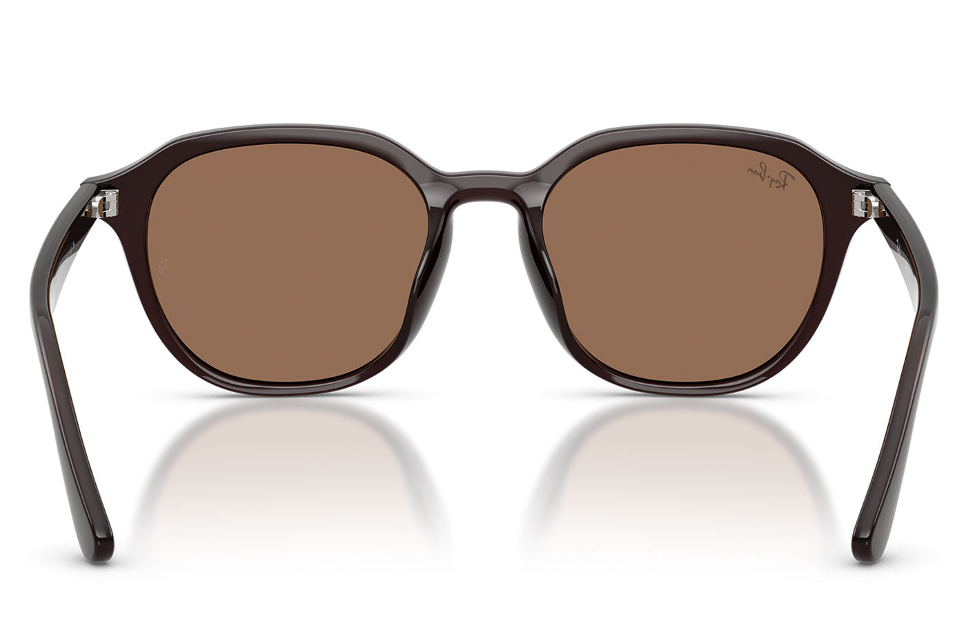 Ray-Ban RB4459D Sunglasses - Opal Brown / Dark Brown