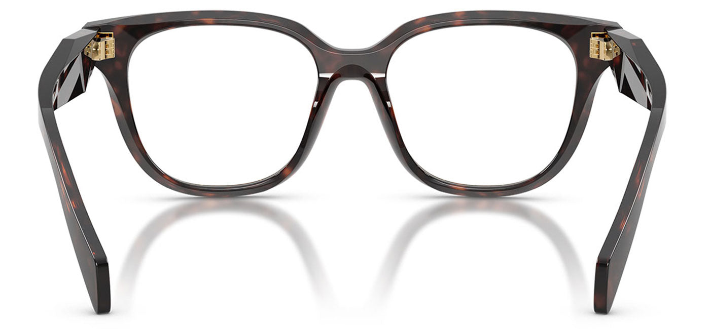 Prada PR C11V Glasses - Root Tortoise