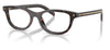Prada PR D01VU Glasses - Root Havana