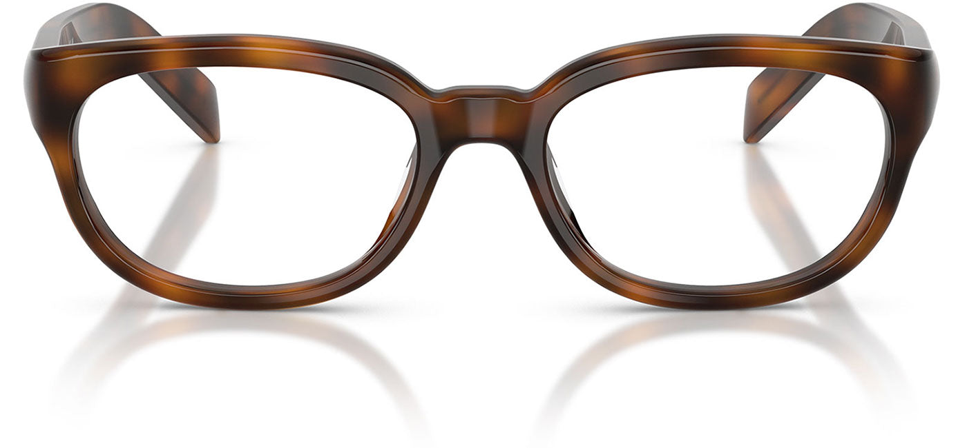 Prada PR D03VU Glasses - Juniper Havana