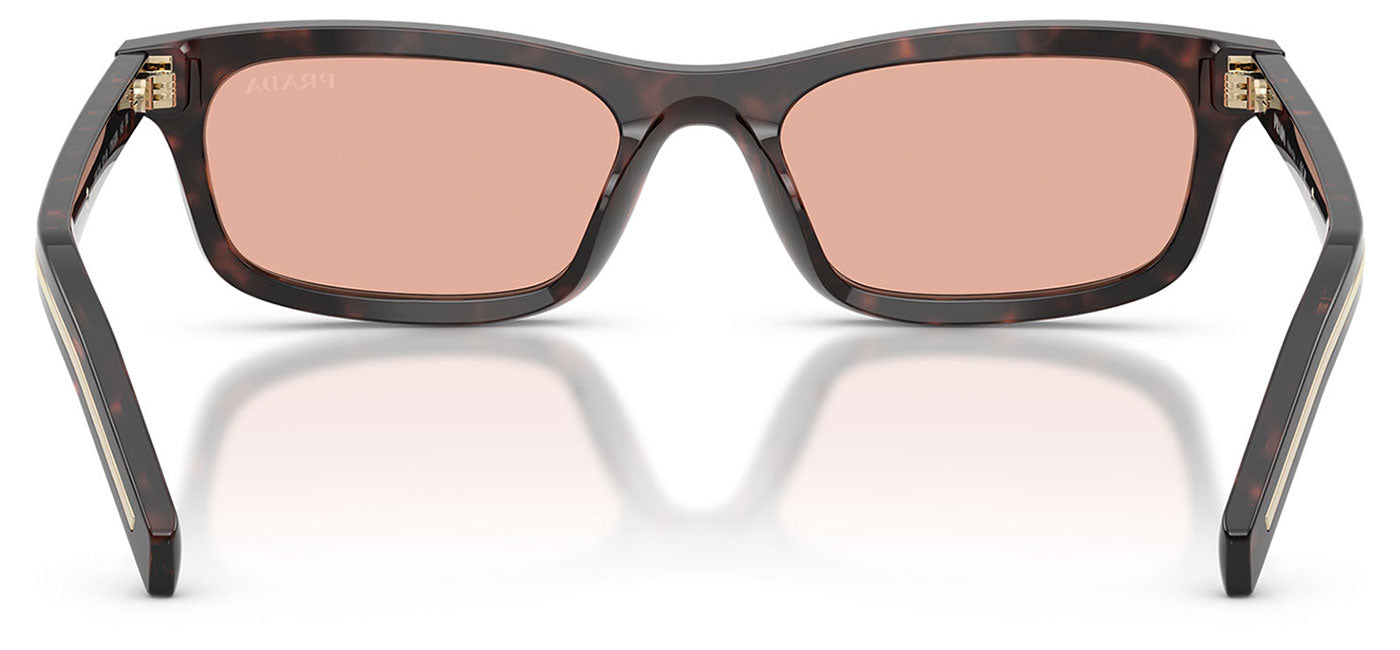 Prada PR D05S Sunglasses - Root Tortoise / Pink