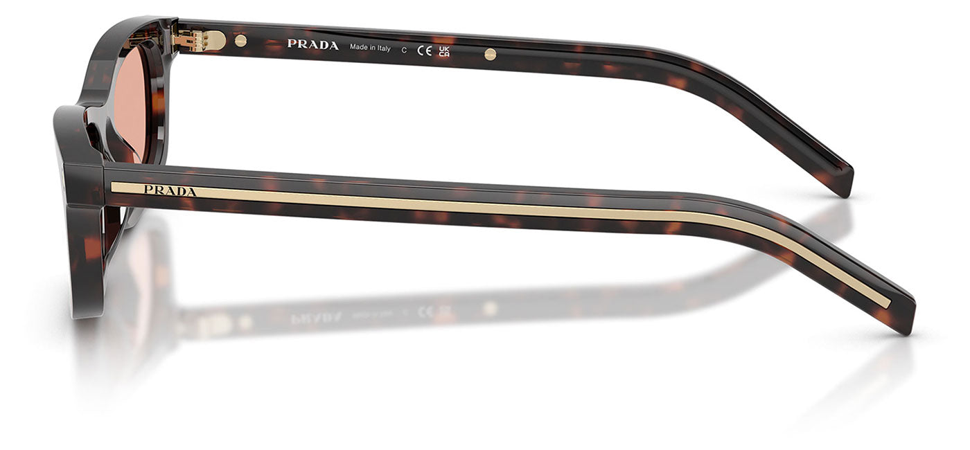 Prada PR D05S Sunglasses - Root Tortoise / Pink