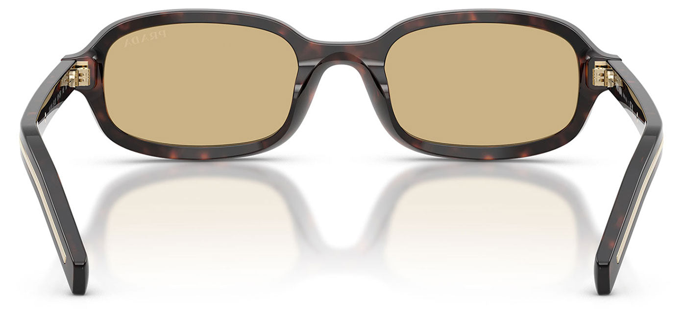 Prada PR D06S Sunglasses - Root Tortoise / Light Brown
