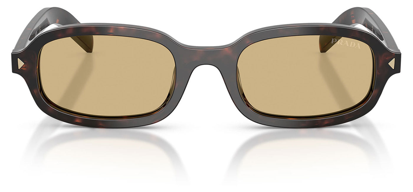 Prada PR D06S Sunglasses - Root Tortoise / Light Brown