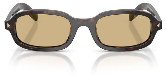 Prada PR D06S Sunglasses - Root Tortoise / Light Brown