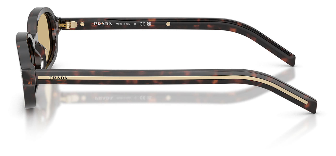 Prada PR D06S Sunglasses - Root Tortoise / Light Brown