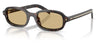Prada PR D06S Sunglasses - Root Tortoise / Light Brown