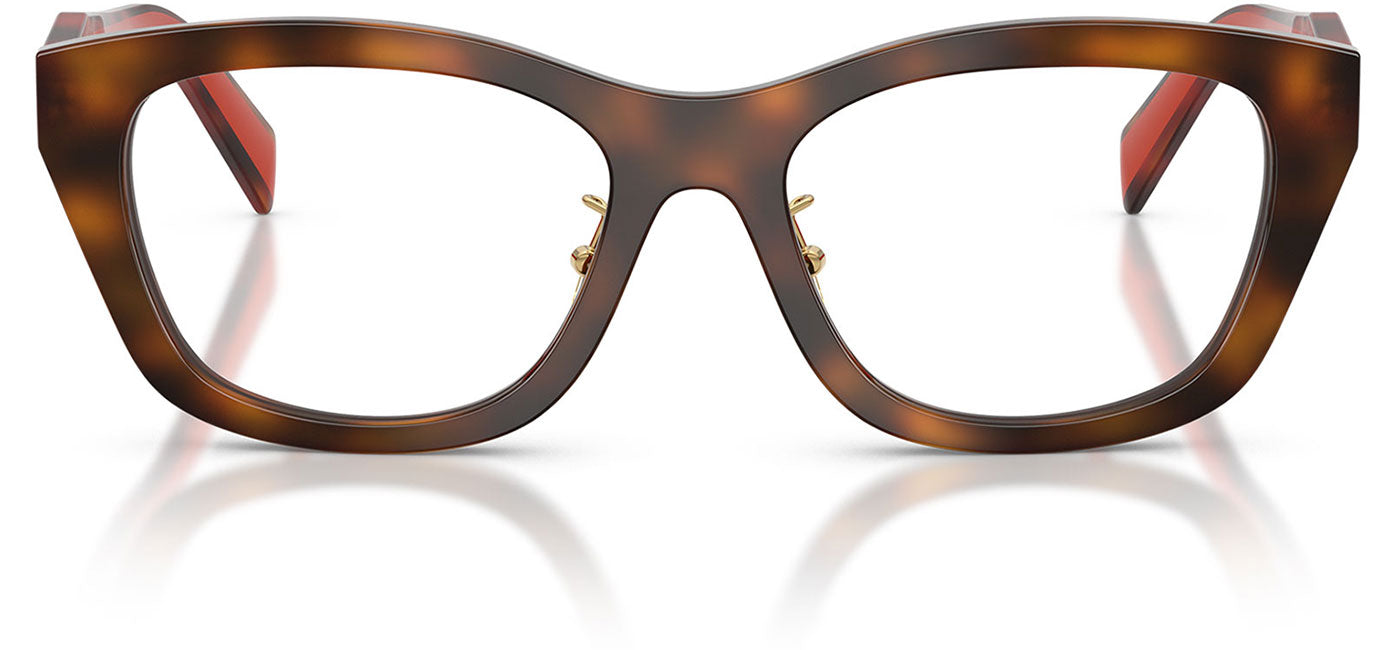 Prada PR D11VD Glasses - Juniper Havana