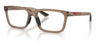 Prada Linea Rossa PS 02SV Glasses - Frosted Brown