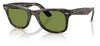 Ray-Ban RB2140 Original Wayfarer Sunglasses - Dark Havana On Multicolour / Green