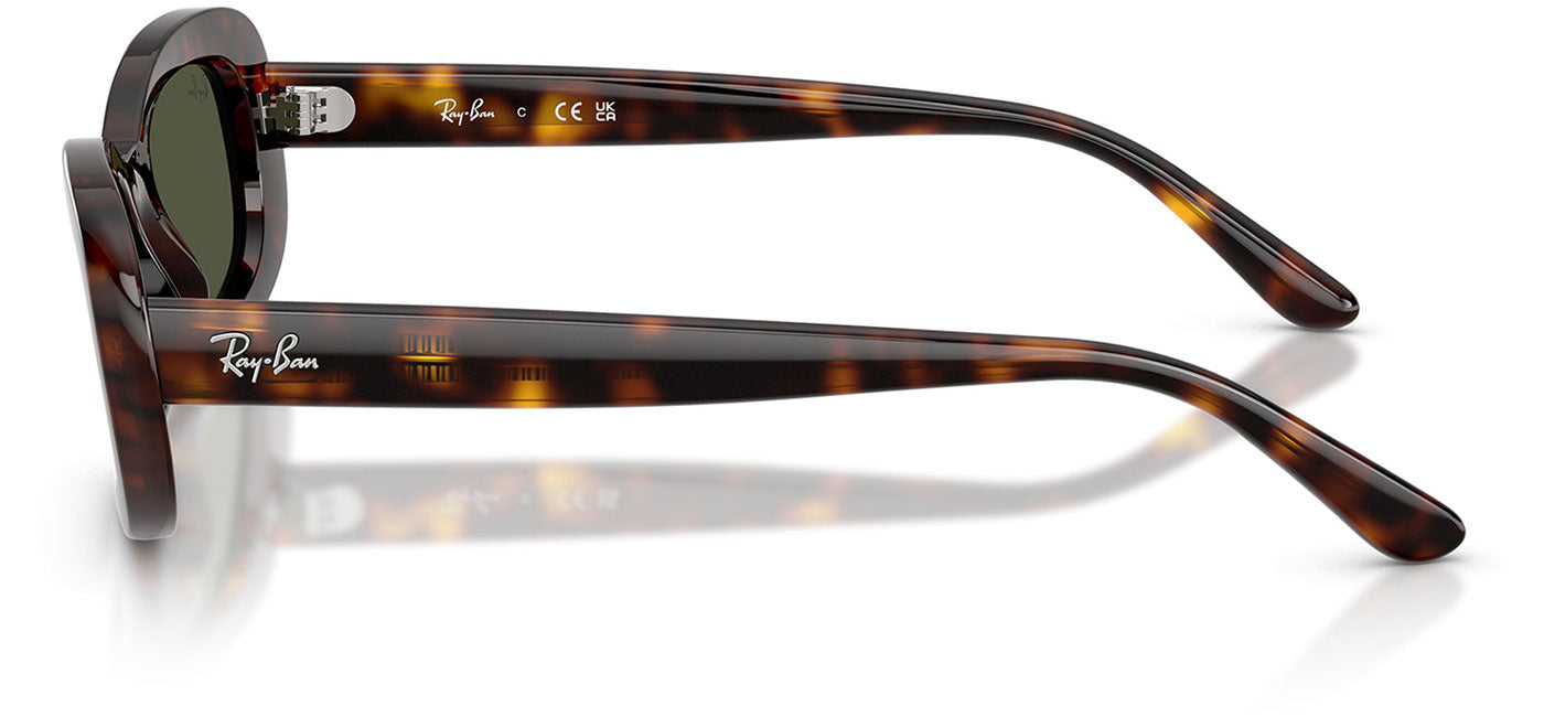 Ray-Ban RB2221 Sunglasses - Havana / Green