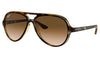 Ray-Ban RB4125 Cats 5000 Sunglasses - Tortoise / Brown B-15 Gradient