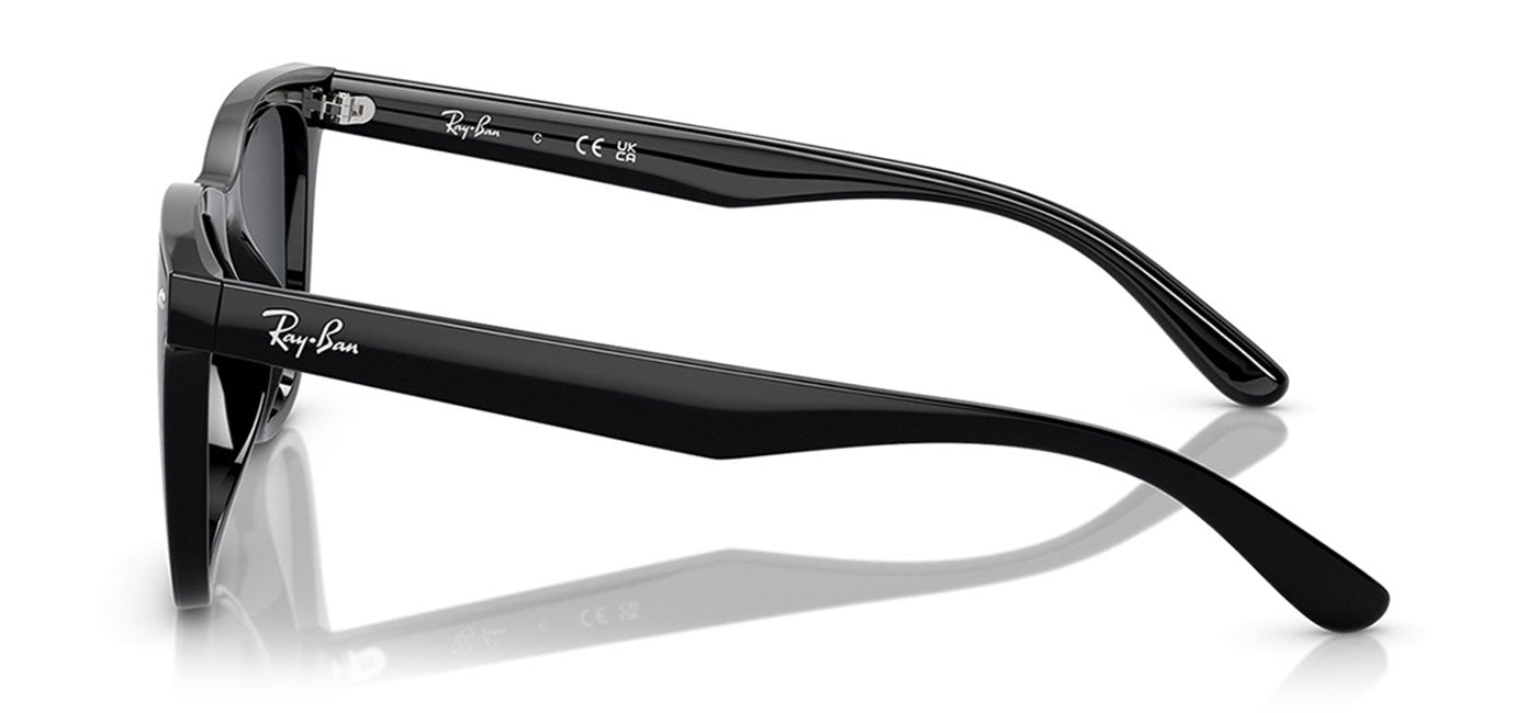 Ray-Ban RB4420 Sunglasses - Black / Dark Grey