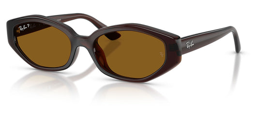 Ray-Ban RB4473D Sunglasses - Dark Brown / Dark Brown Polarised