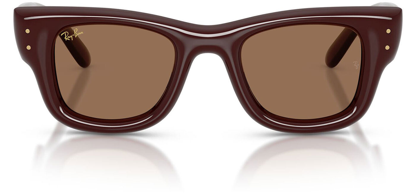Ray-Ban RB4940 Wayfarer Puffer Sunglasses - Dark Brown / Dark Brown