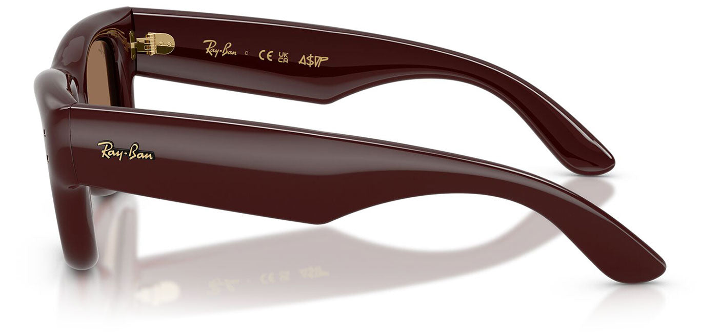Ray-Ban RB4940 Wayfarer Puffer Sunglasses - Dark Brown / Dark Brown