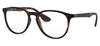 Ray-Ban RX7046 Erika Glasses - Tortoise
