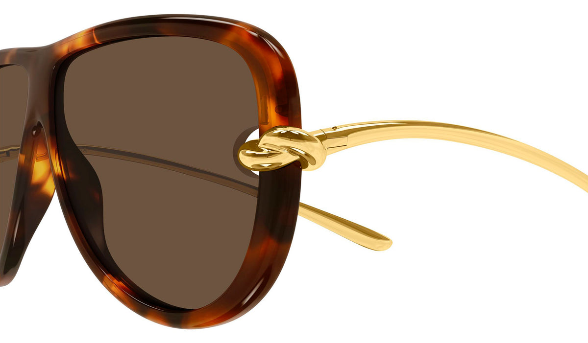 Bottega Veneta BV1513S Sunglasses - Havana & Gold / Brown