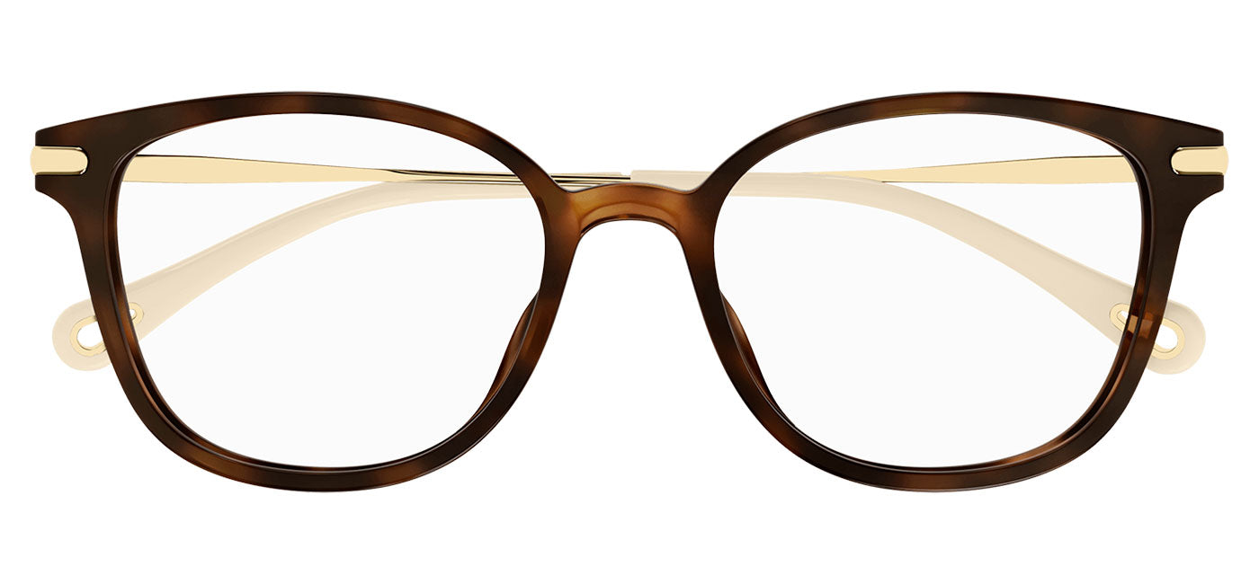 Chloe CH0219OA Glasses - Havana