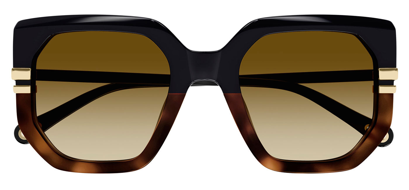 Chloe CH0240S Sunglasses - Black / Brown Gradient