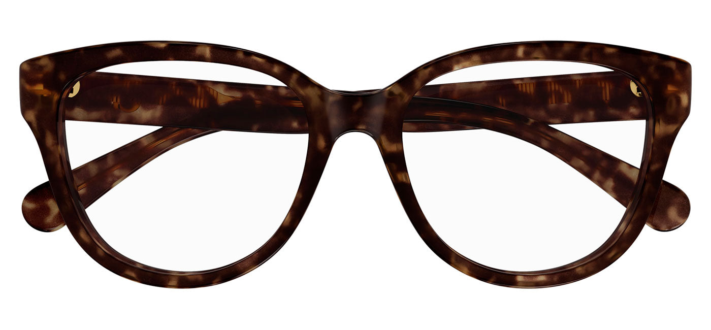 Chloe CH0243O Glasses - Havana