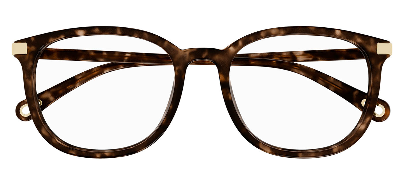 Chloe CH0247OA Glasses - Havana