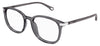 Chloe CH0247OA Glasses - Grey