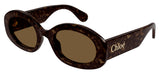 Chloe CH0258S Sunglasses - Havana / Brown