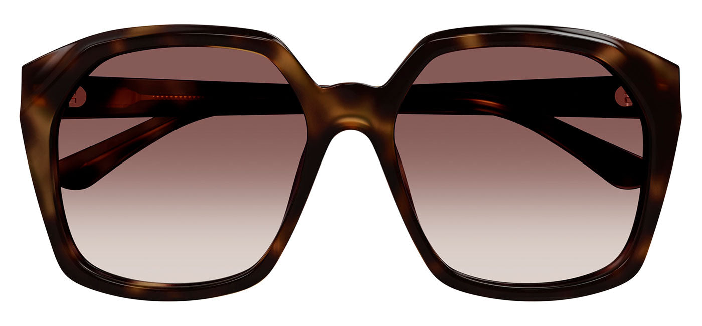 Chloe CH0280S Sunglasses - Havana / Red