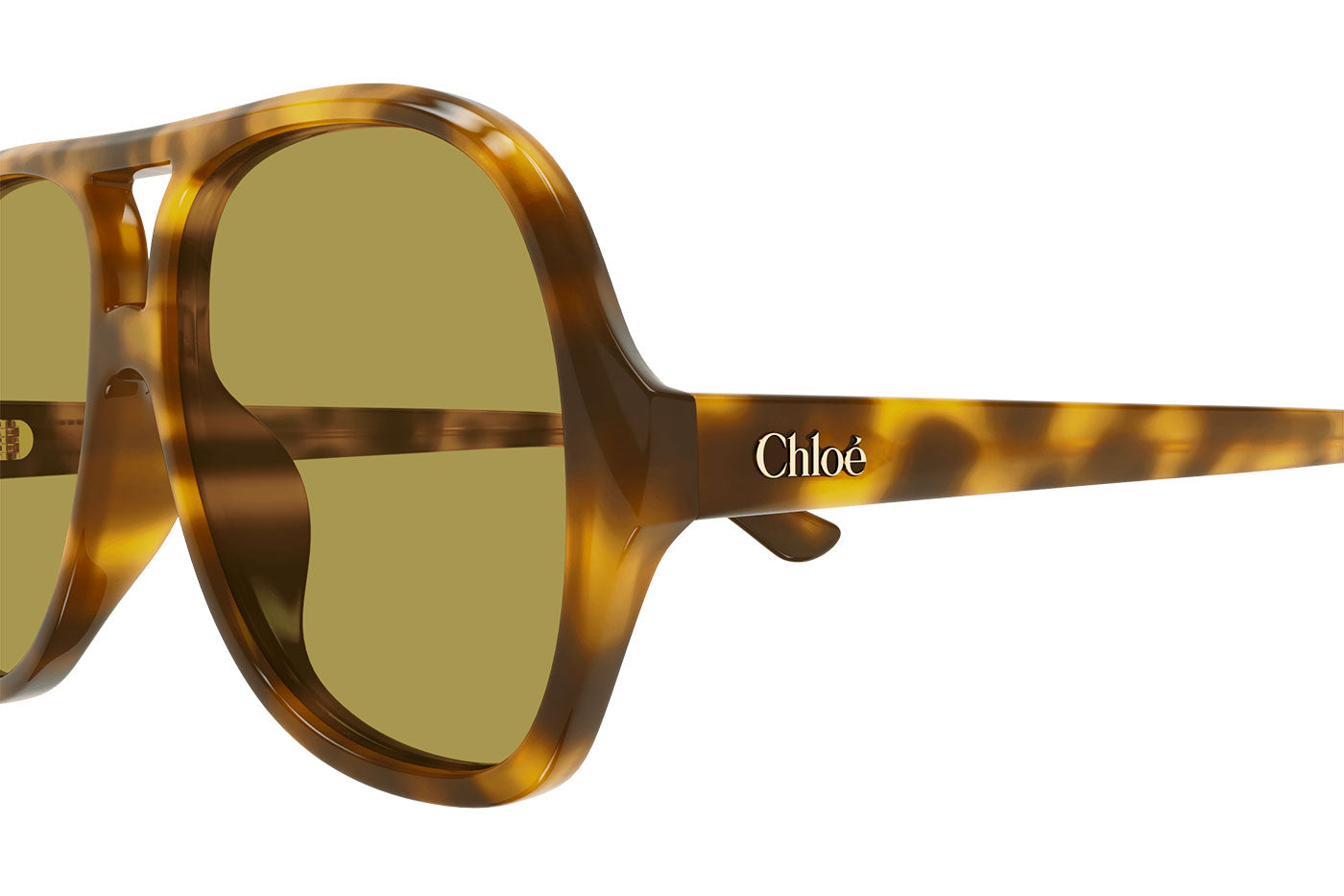 CH0289S-003 [fill]