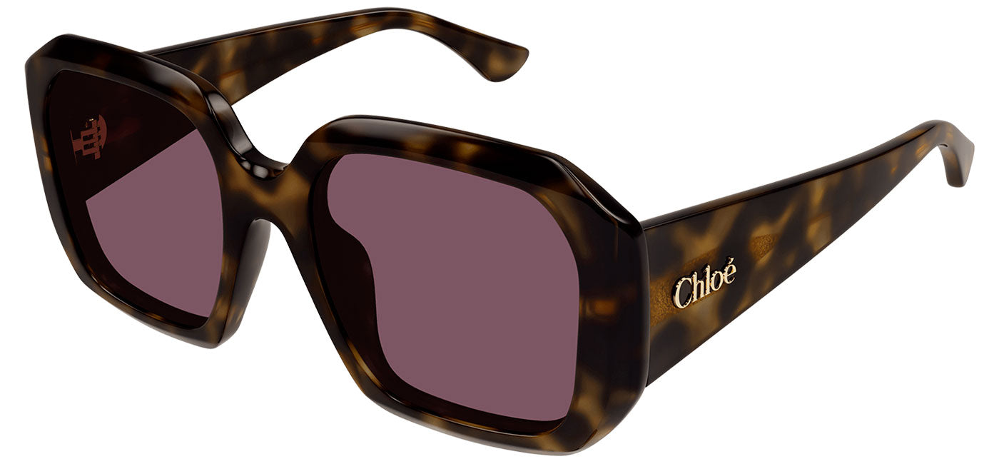 Chloe CH0300S Sunglasses - Havana / Violet