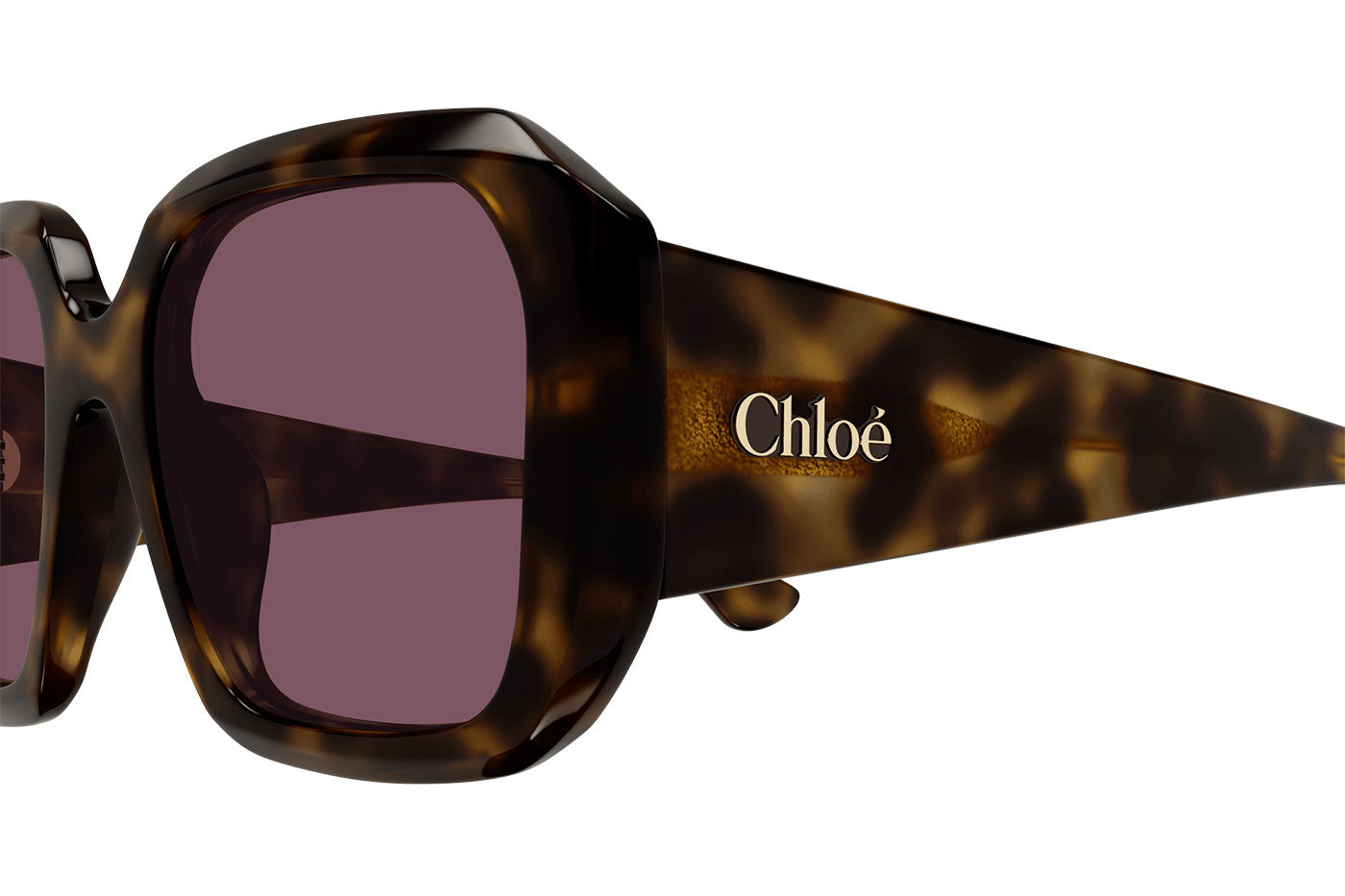 CH0300S-002 [fill]