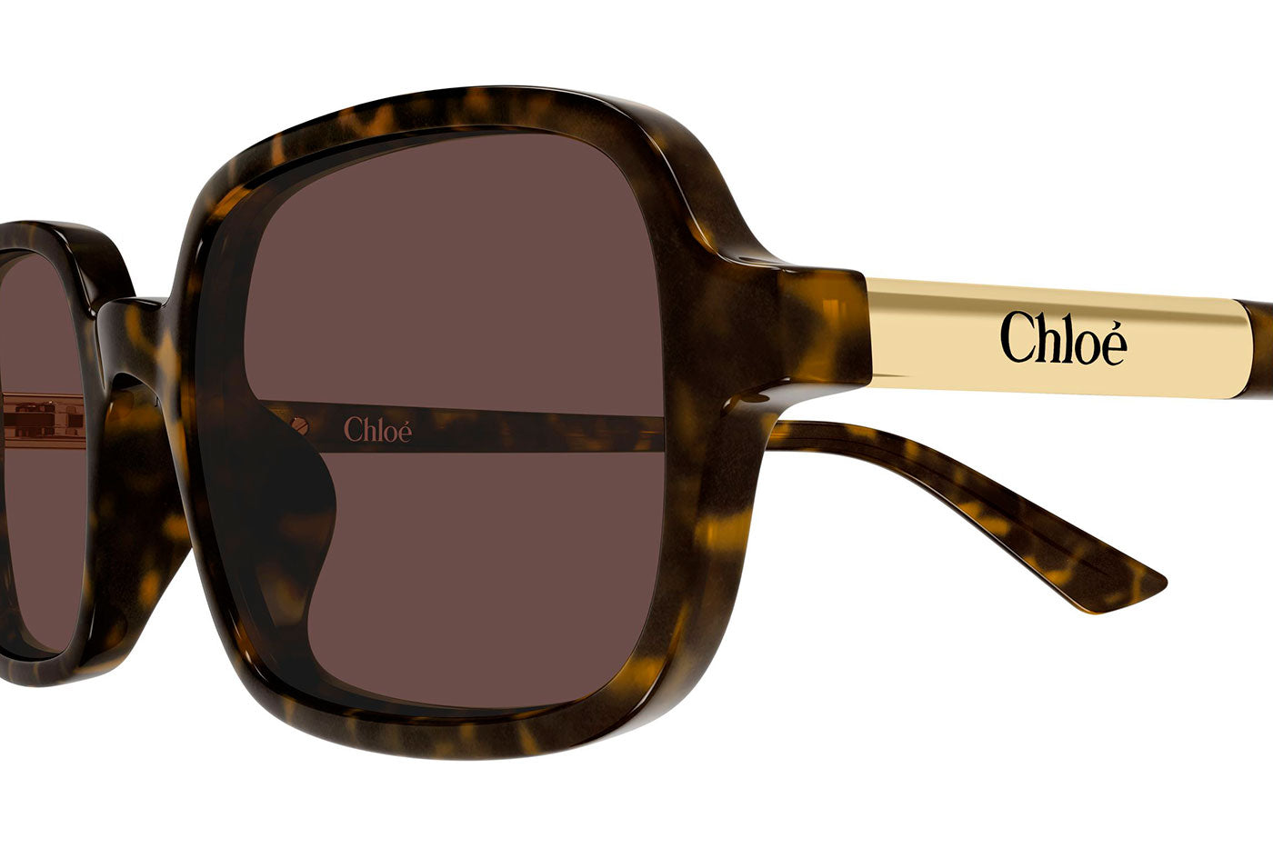 CH0363S-002 [fill]