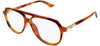 Chloe CH0366O Glasses - Havana