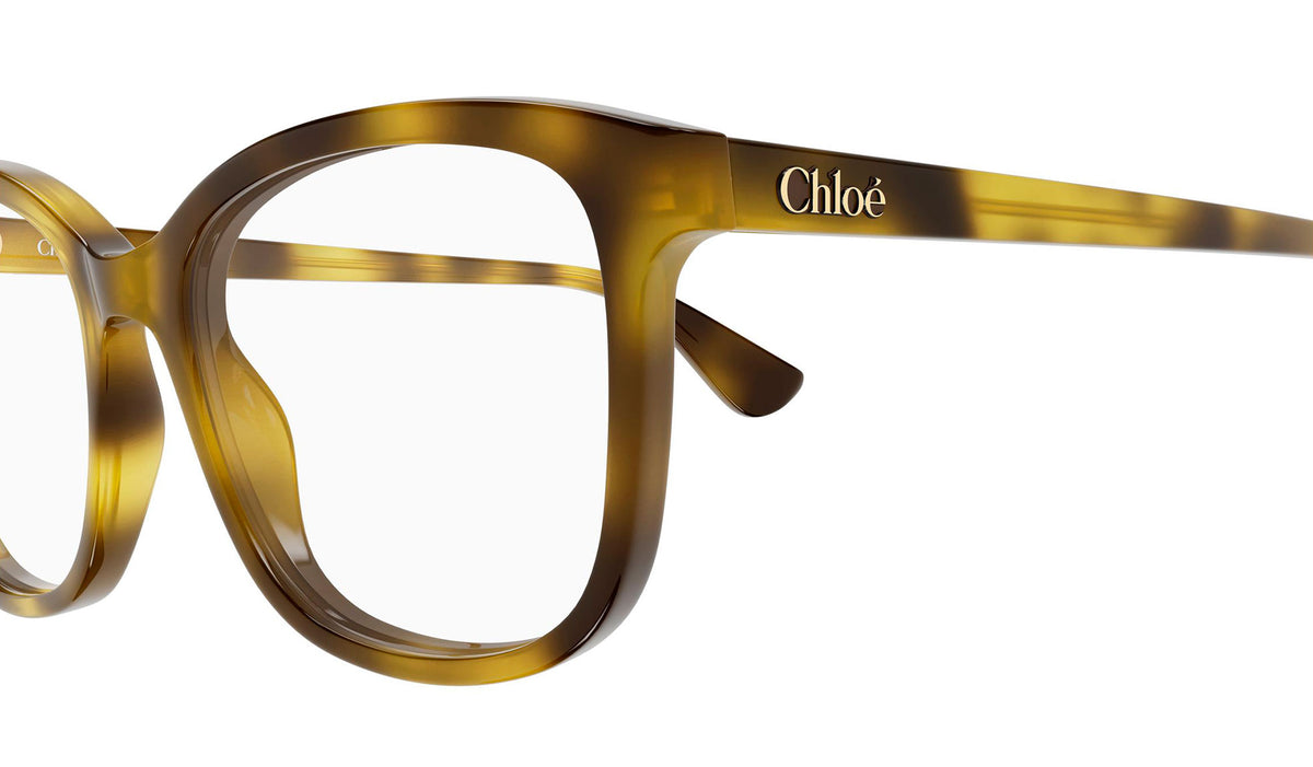 Chloe CH0393O Glasses - Havana