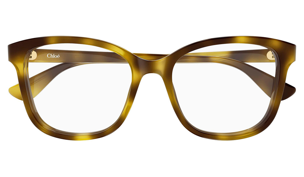 Chloe CH0393O Glasses - Havana