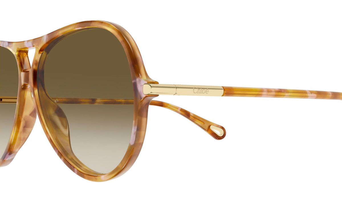 Chloe CH0395S Sunglasses - Havana / Brown