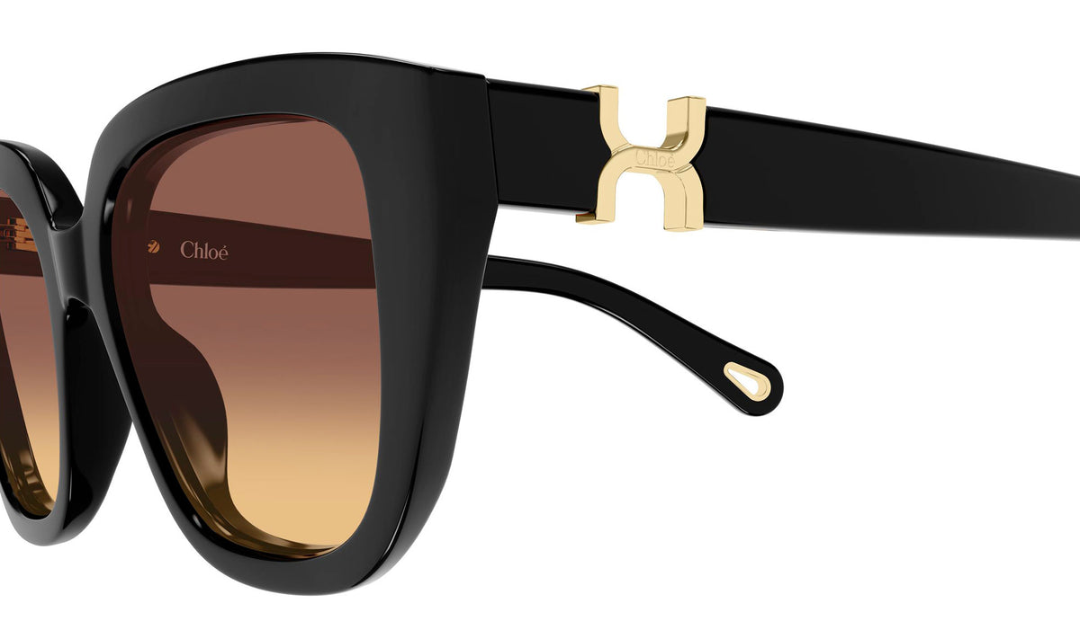 Chloe CH0410S Sunglasses - Black / Brown