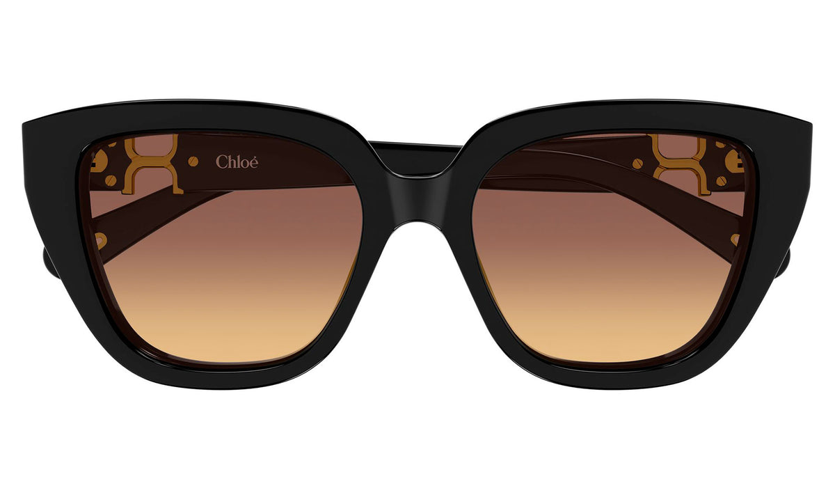 Chloe CH0410S Sunglasses - Black / Brown