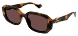 Gucci GG1535S Sunglasses - Havana / Brown