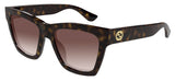 Gucci GG1714S Sunglasses - Havana / Brown