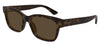 Gucci GG1716S Sunglasses - Havana / Brown